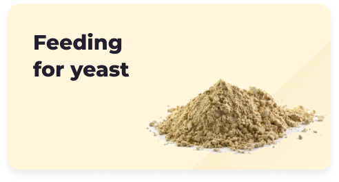 Feeding  for yeast